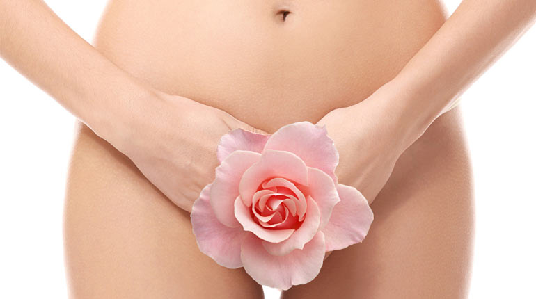 Curiosidades sobre a Vagina